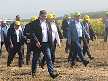 Соеводство в Башкортостане будет набирать обороты