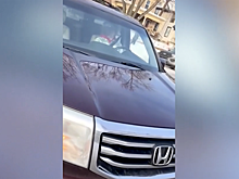 Белый дом опубликовал новое видео убийства в Миннесоте