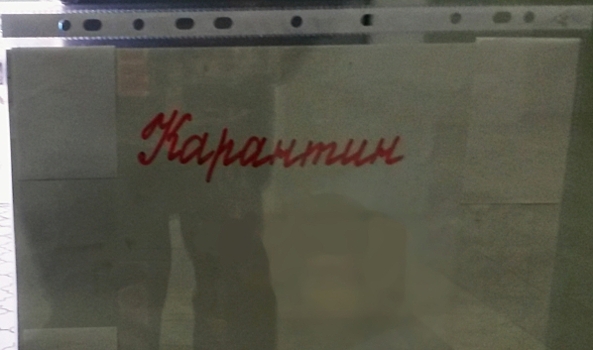 В школах Воронежа снимают карантин