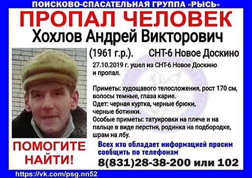 58-летний Андрей Хохлов пропал в нижегородском СНТ