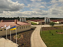 Глава «Укрлендфарминга» попросил Зеленского спасти его от «экономических шакалов»