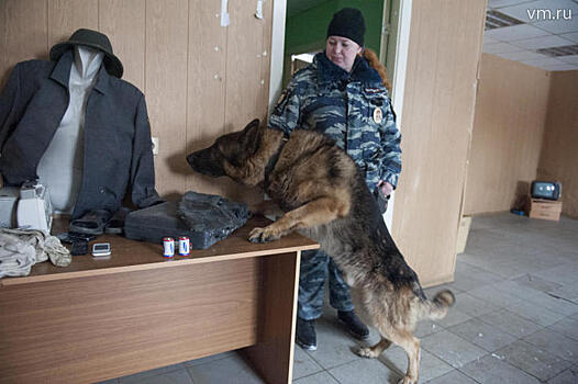 Полиция готова к главному турниру. Тренировкой к состязаниям стал Кубок конфедераций