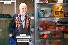 У копавшегося в мусоре ветерана нашли полный холодильник еды