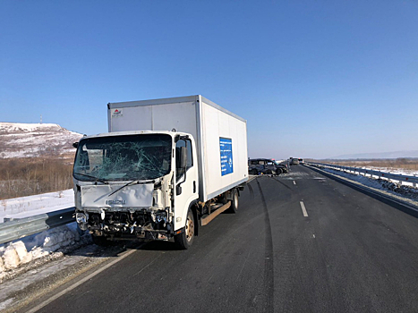 Пятилетний ребенок погиб в ДТП в Приморье