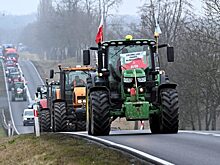 Bloomberg: Польша предпочла симпатии избирателей импорту украинского зерна