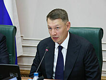 Комитет Совфеда предложил разрешить охоту на сайгака для регулирования численности