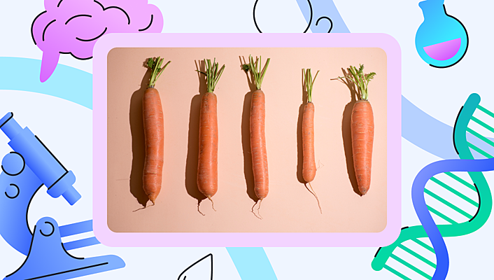 Шешен секс видео