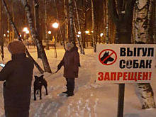 Партийцы провели экологическую акцию «Убери за своим питомцем»