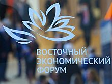 На полях ВЭФ прошел бизнес-диалог «Россия — АСЕАН»