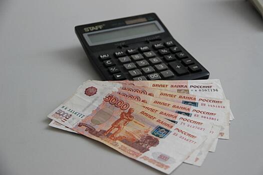 Резиденты ТОР в Приморье за три года заплатили уже 600 млн рублей налогов