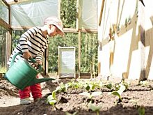 Какой должна быть минимальная площадь дачного участка