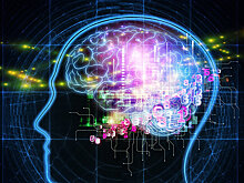 LiveScience (США): что мы узнали о мозге в 2019 году