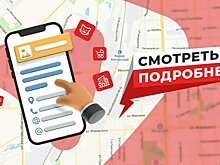 В Кирове объявили перерыв о скандальном деле «о Свинке Пеппе»