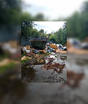 Калининград, Балтийск и Морское: новый хит-парад переполненных помоек (фото, видео)