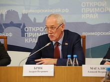 Председатель Думы Владивостока Андрей Брик возглавил заседание Общественного экспертного совета по развитию информационного общества в Приморском крае