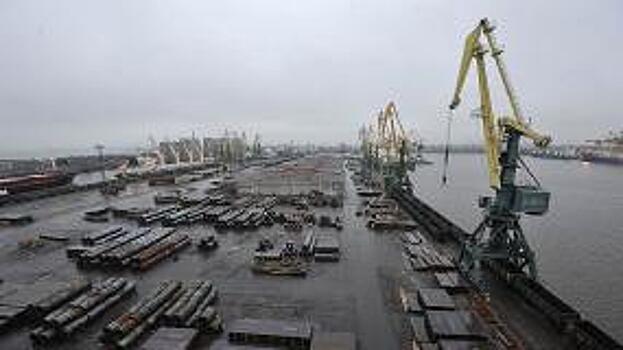 Владимир Стафеев: «Мы готовы к росту перевалки насыпных и навалочных грузов в морском порту Санкт-Петербурга»