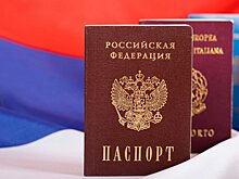 В России предложили запретить людям с двойным гражданством быть спонсорами партий