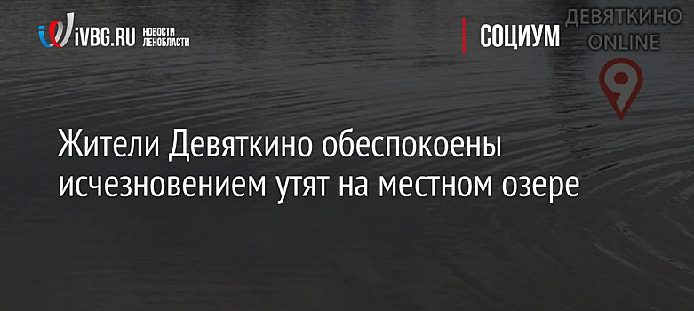 Жители Девяткино обеспокоены исчезновением утят на местном озере