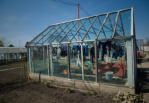 Росреестр предупредил кузбассовцев об обязанности регистрировать бани и теплицы