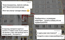 Добро и зло домовых чатов WhatsApp