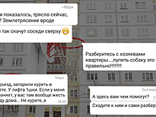 Добро и зло домовых чатов WhatsApp