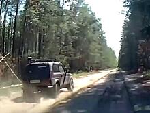 Нижегородские автоинспекторы для остановки отечественного внедорожника стреляли по его колёсам