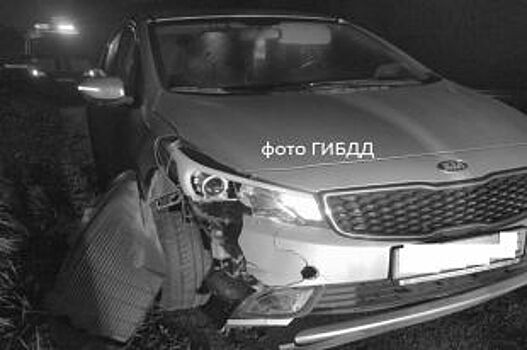 На Южном обходе насмерть сбили пешехода