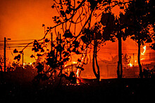Число погибших в результате лесных пожаров в Чили достигло 122
