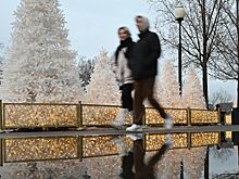 Турпоток зимой в Подмосковье может увеличиться до 5,1 млн человек