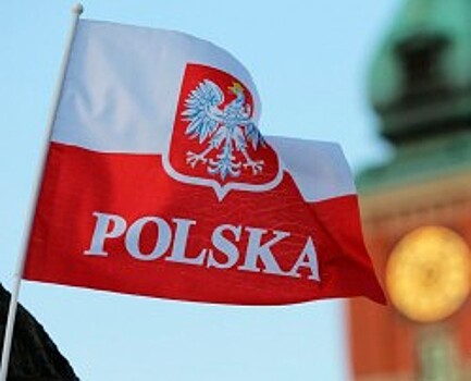 Пушков призвал не идти навстречу Польше в газовом вопросе