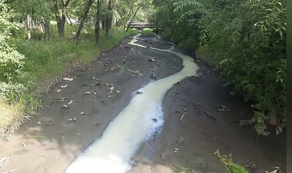 В Благовещенске неизвестные сливают мыльную воду в Бурхановку