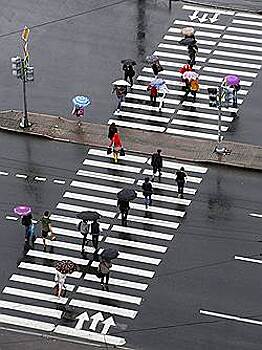 У водителей проблемы на «зебре»