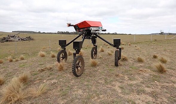 Робот-фермер с искусственным интеллектом SwagBot выйдет на рынок в 2020 году