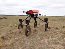 Робот-фермер с искусственным интеллектом SwagBot выйдет на рынок в 2020 году