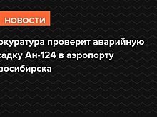 Прокуратура проверит аварийную посадку Ан-124 в аэропорту Новосибирска