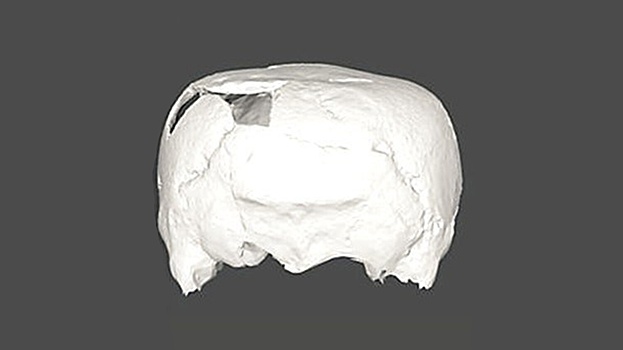 Археологи нашли 1400-летний череп, удививший их своей формой