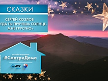 Слушаем сказку автора "Ёжика в тумане"