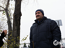 Деревья на "Зелёном острове" начнут сносить со дня на день