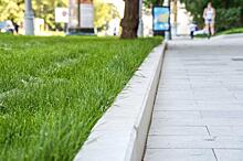 На бульваре Матроса Железняка провели озеленение газона по просьбе жителей