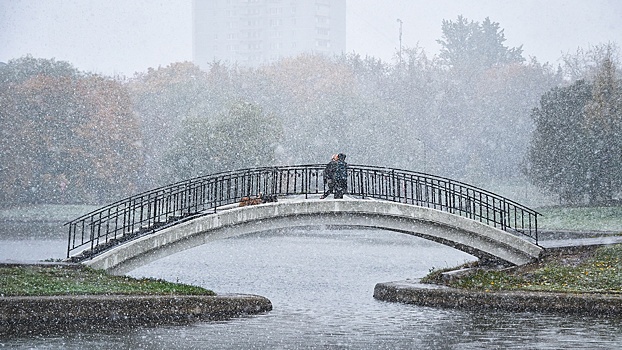 Синоптик рассказал, когда москвичам ждать первый снег