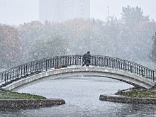 Синоптик рассказал, когда москвичам ждать первый снег