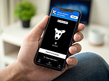 Скажется ли арест Дурова на первых продажах криптовалюты DOGS