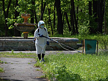 Россиян предупредили об опасности в парках