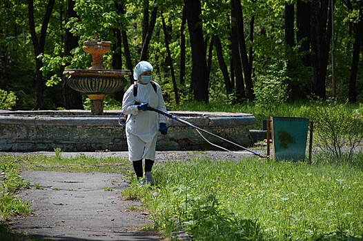 Россиян предупредили об опасности в парках