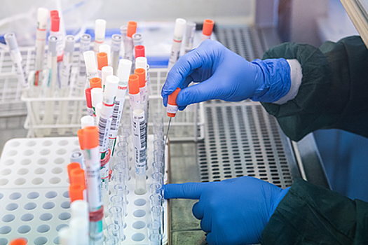 У троих россиян нашли коронавирус после встречи с нарушившим карантин туристом