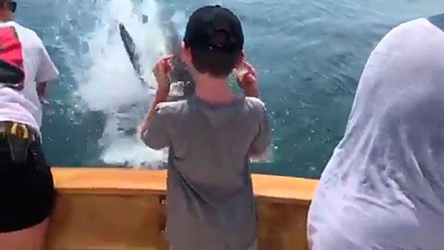 «Челюсти» со счастливым концом: чудесное спасение мальчика от акулы попало на видео