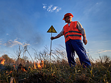 Стартовал второй поток бесплатного курса о волонтёрстве в зонах бедствиях