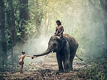 Таиланд и Вьетнам ожидают рекордного числа туристов из России в 2026 году, – эксперт ТПП