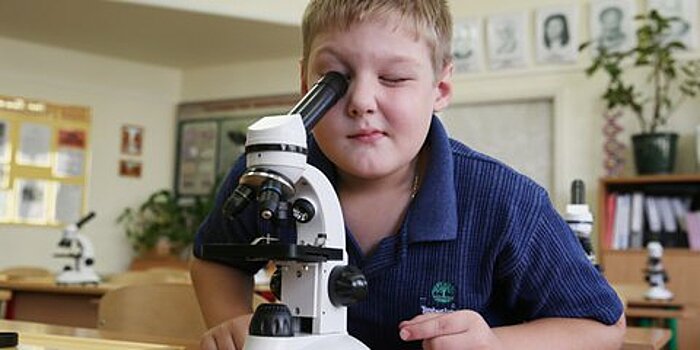 Возвращение профориентации в школы поддержали в Совфеде