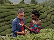 Кинофестиваль VOICES покажет вологжанам более 35 фильмов